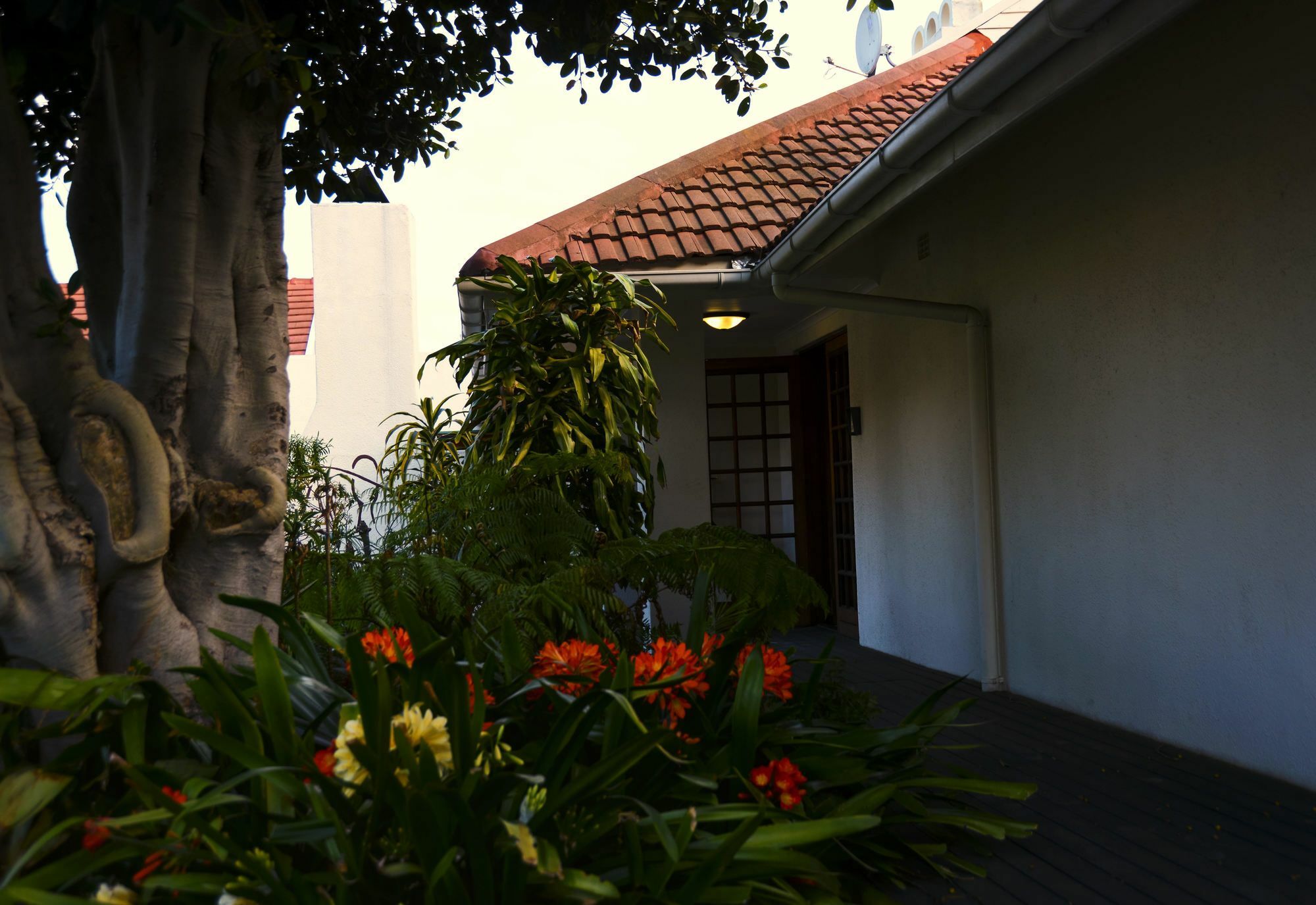 Dolliwarie Guesthouse Parow Buitenkant foto